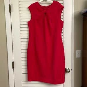 NWOT Lined Sheath dress